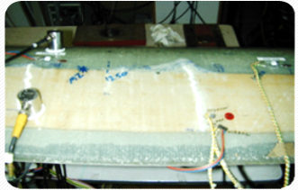 vacuum bag